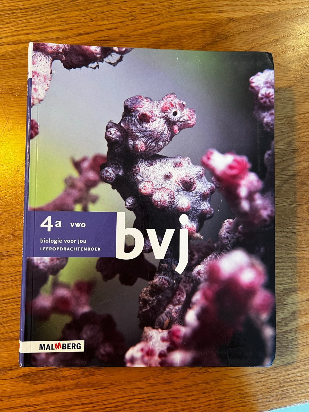 Biologie voor jou 4a, 4b, 5b, 6 vwo +Examenbundel+Samengevat, Boeken, Ophalen of Verzenden, Beta, Gelezen, WO