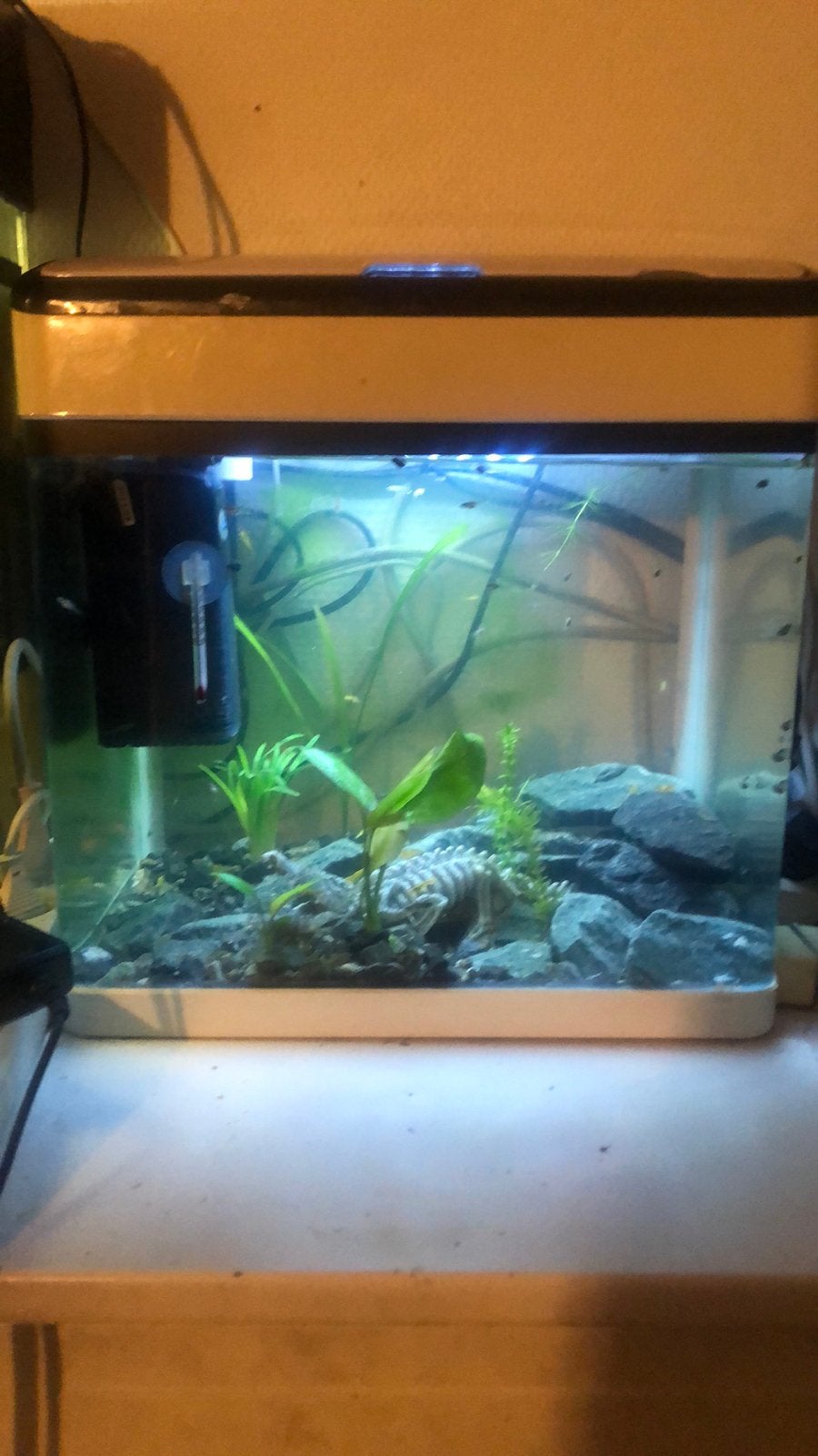 SuperFish aquarium, Ophalen of Verzenden, Zo goed als nieuw, Leeg aquarium