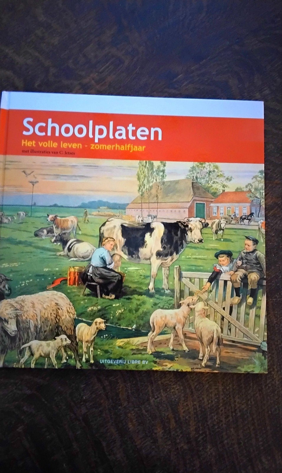 F. van Dulmen - Schoolplaat het volle leven, Ophalen of Verzenden, Zo goed als nieuw, F. van Dulmen