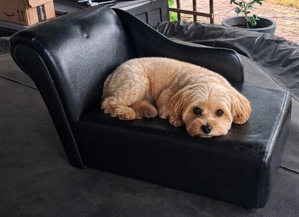 katten of honden bank, Dieren en Toebehoren, Ophalen of Verzenden, Zo goed als nieuw