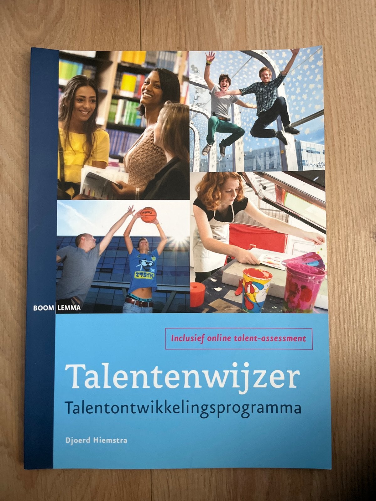 Talentenwijzer Talentontwikkelingsprogramma - Djoerd Hiemstr, Boeken, Ophalen of Verzenden, Gamma, Zo goed als nieuw, Niet van toepassing