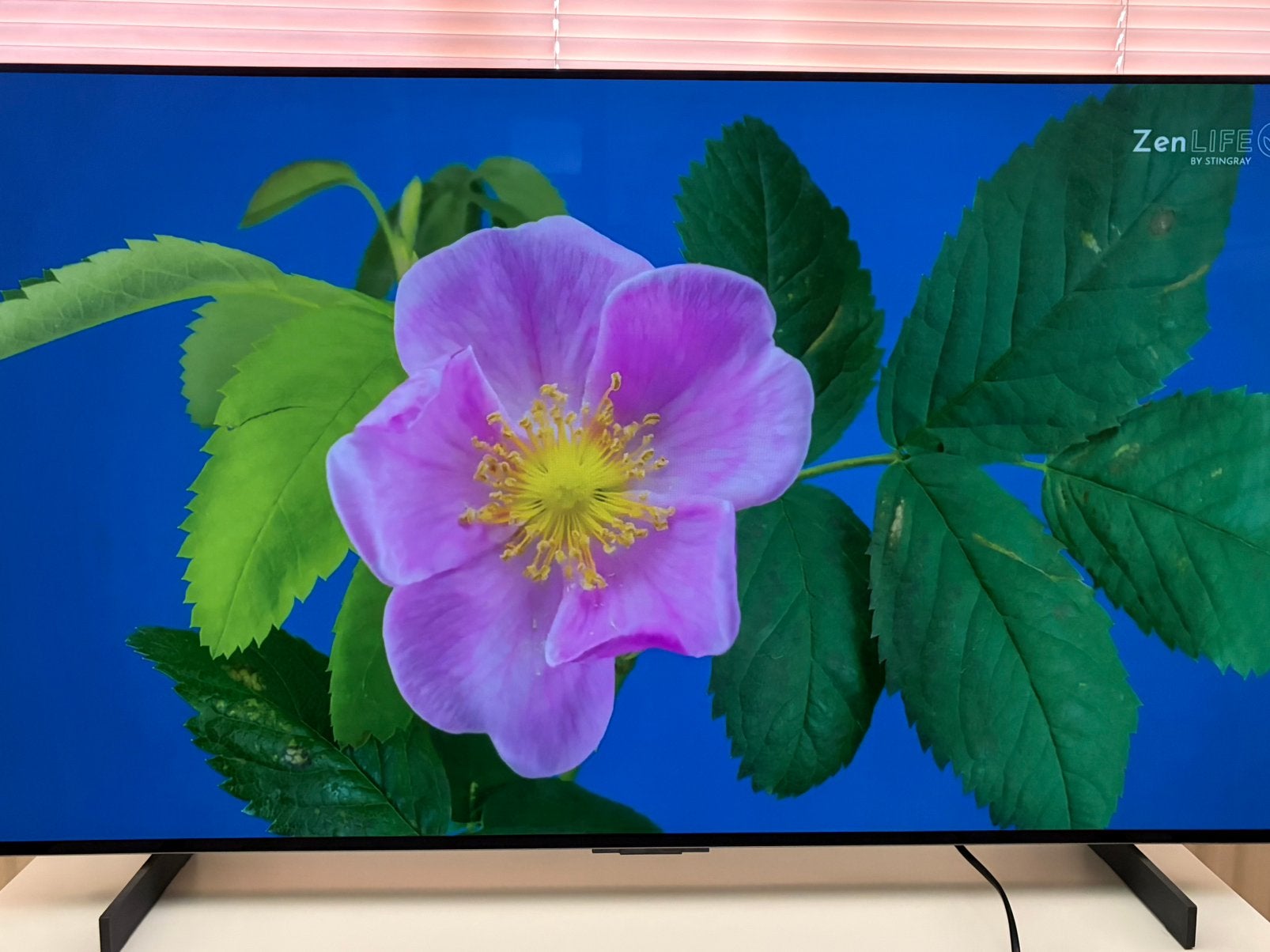 LG OLED tv 42 inch, Ophalen, OLED, Zo goed als nieuw, 100 Hz