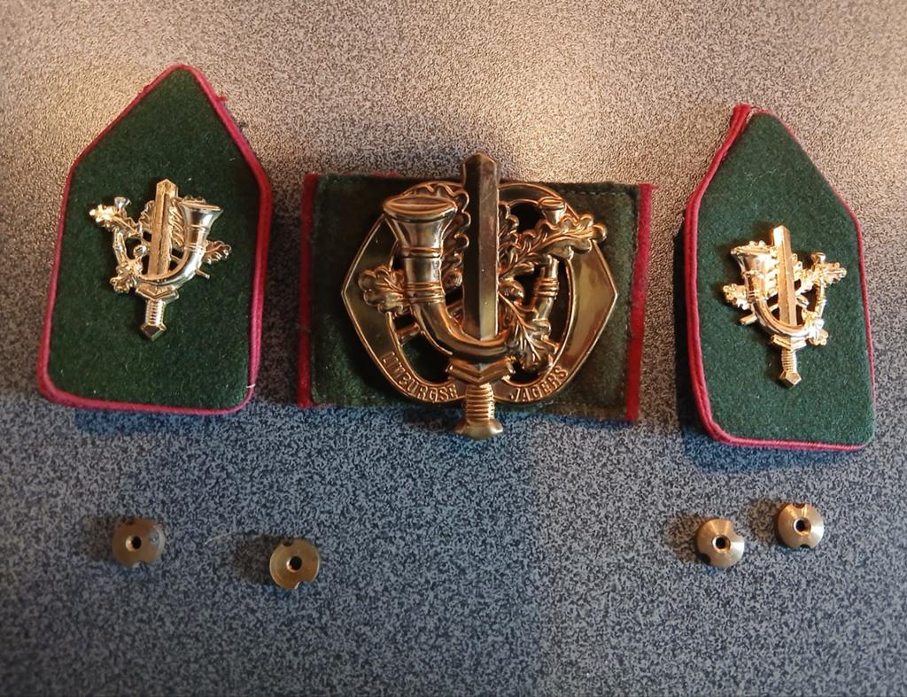 Kraagspiegels en baretembleem  : Limburgse Jagers, Ophalen of Verzenden, Landmacht, Nederland, Embleem of Badge