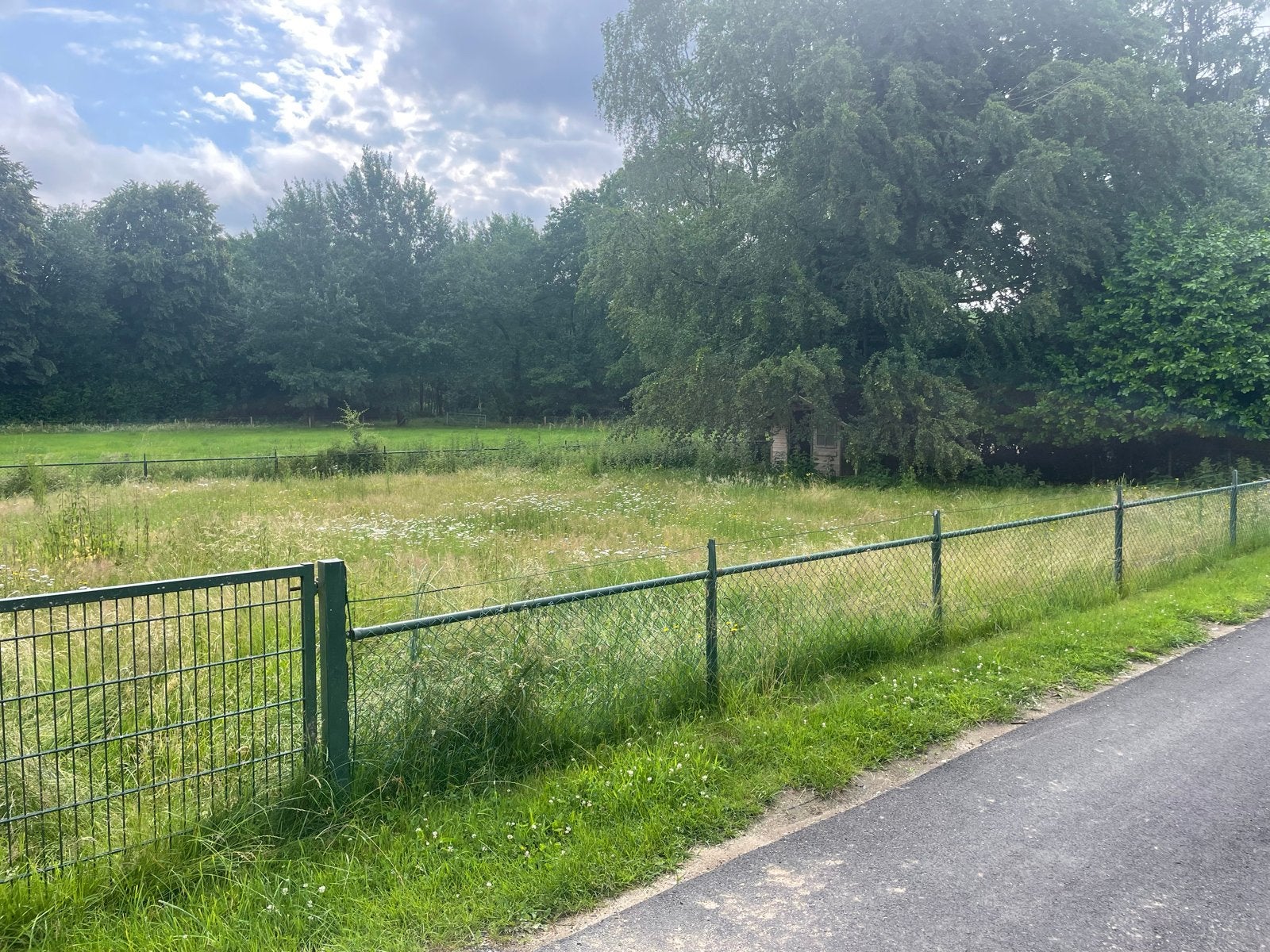 Hekwerk 100 cm hoog, 140 meter inclusief dubbele poort., Ophalen, Gebruikt, IJzer