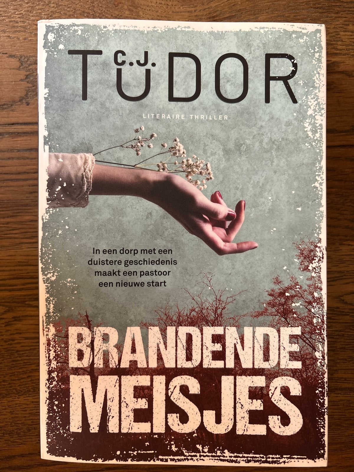 Brandende Meisjes - C.J. Tudor, Ophalen of Verzenden, Gelezen, Europa overig