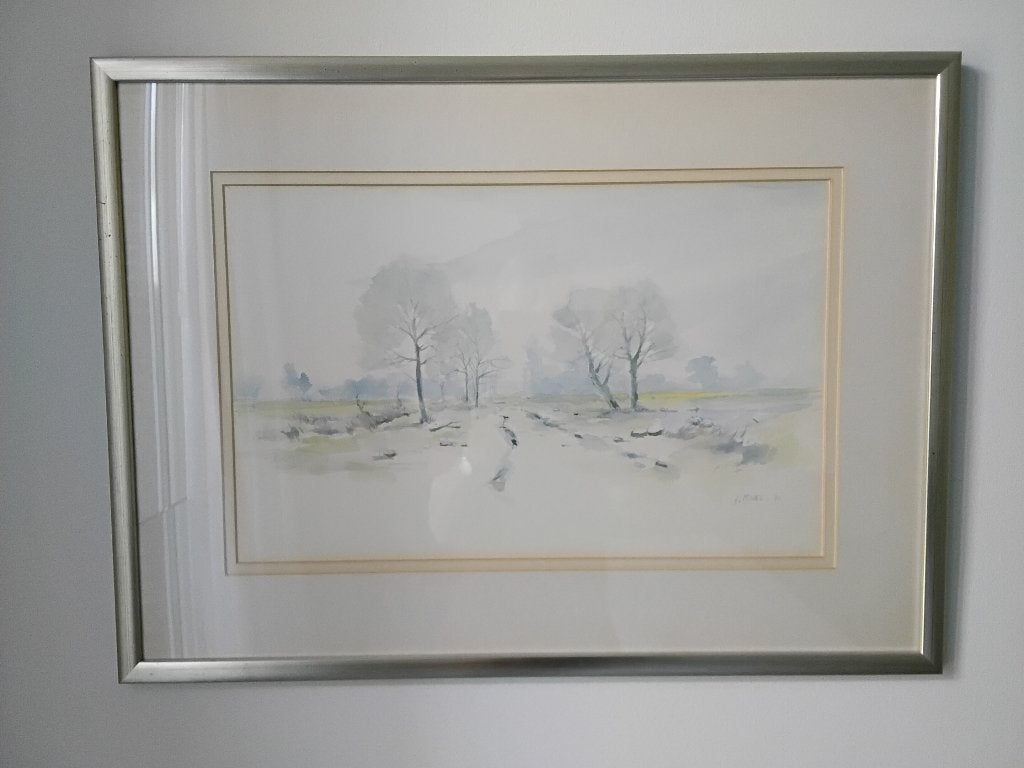 Zeefdrukken, Antiek en Kunst, Gelimiteerde oplage, Ophalen, Landschappen