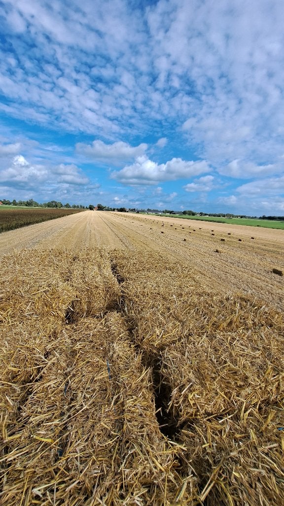 Stro kleine balen 2026, Dieren en Toebehoren, Ophalen, Vee