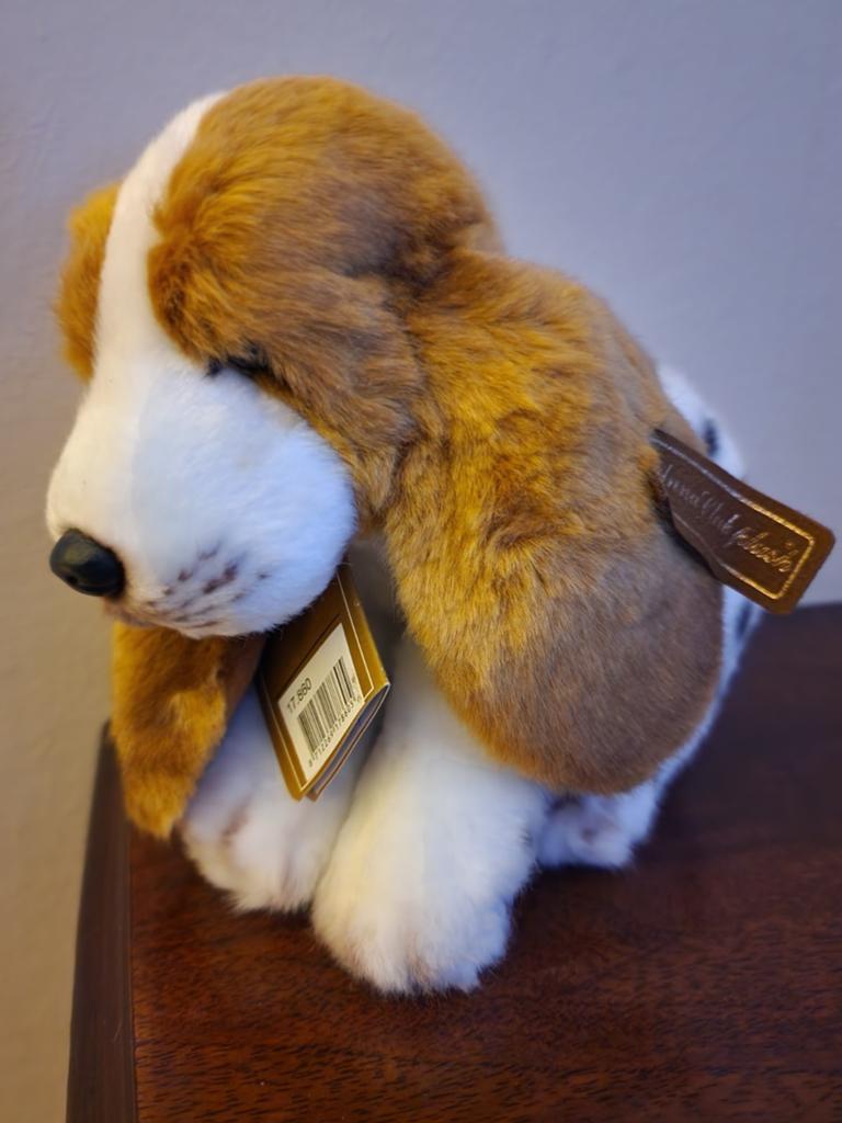 Pluche Hond nieuw - Anna club pluche, Ophalen of Verzenden, Nieuw, Overige typen