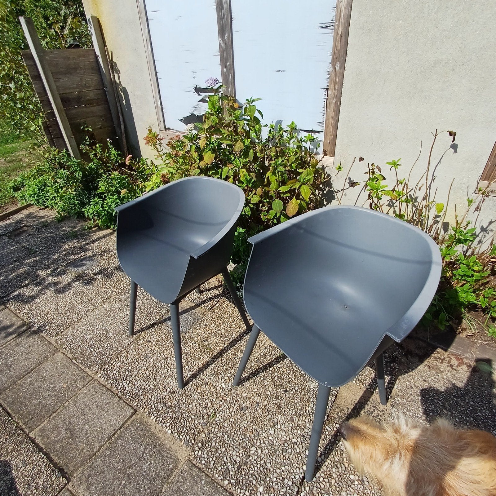 kuip stoelen, Ophalen, Zo goed als nieuw, Kunststof