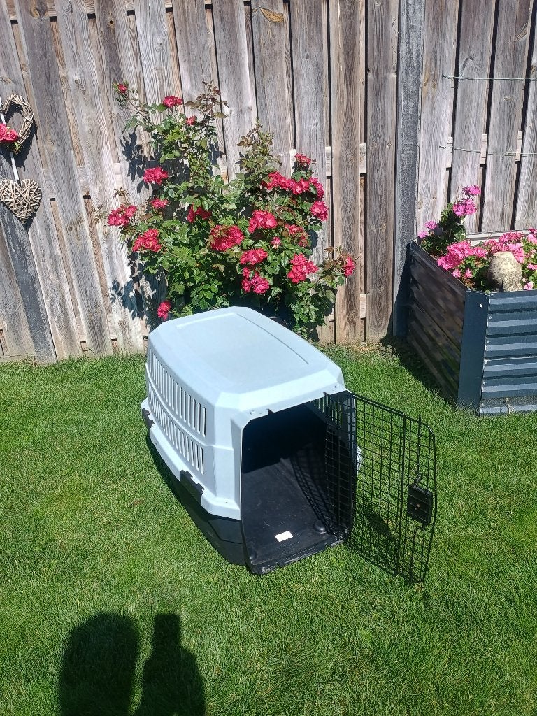 Te koop zeer mooie transport box hond, Dieren en Toebehoren, Ophalen of Verzenden, Zo goed als nieuw