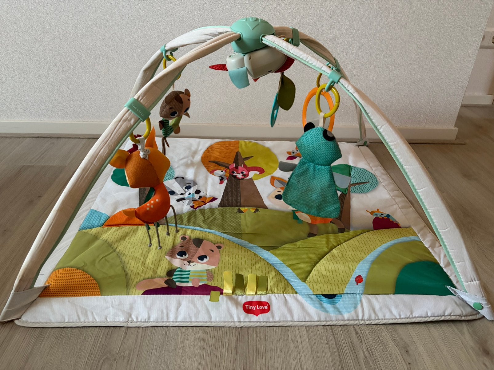 Interactief speelkleed Tiny Love Babygim, Kinderen en Baby's, Ophalen, Gebruikt