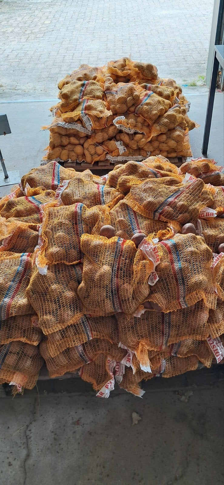 3 kg Nieuwe Frieslanders en Bildtstsr  2026 gratis  uien, Ophalen