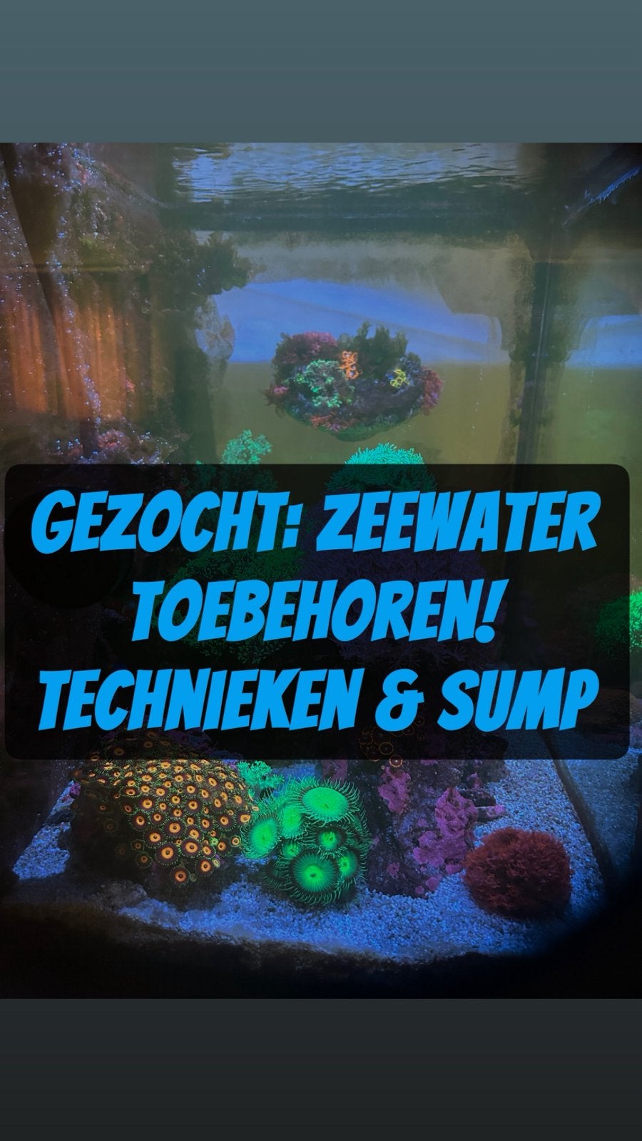 Gezocht: Zeewater toebehoren, Ophalen of Verzenden, Nieuw