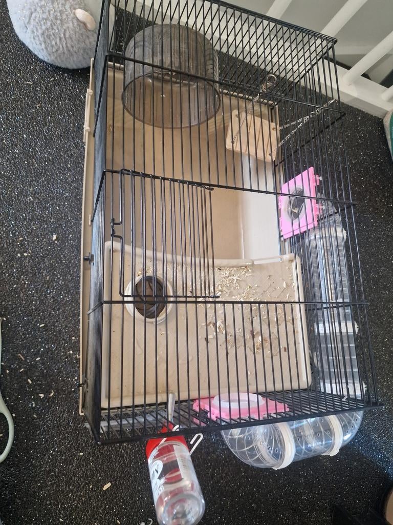 Hamsterkooi met accessoires, Dieren en Toebehoren, Knaagdieren en Konijnen | Hokken en Kooien, Kooi, Minder dan 75 cm, Zo goed als nieuw