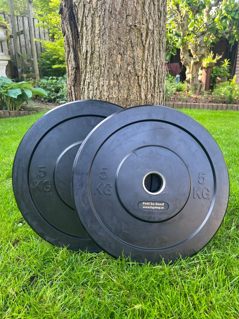 Twee sets Olympic plates van 5 en 10 kg, Ophalen, Zo goed als nieuw