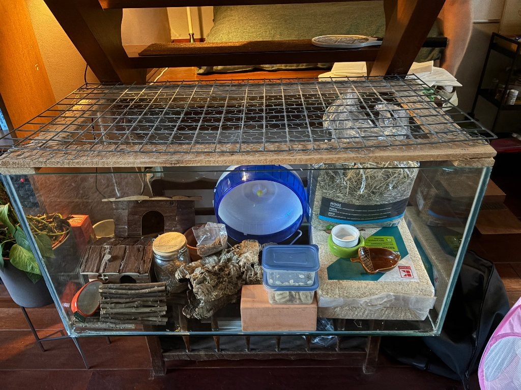 Hamsterkooi - Hamsterscape - Terrarium - Knaagdierenkooi, Dieren en Toebehoren, Knaagdieren en Konijnen | Hokken en Kooien, Gebruikt