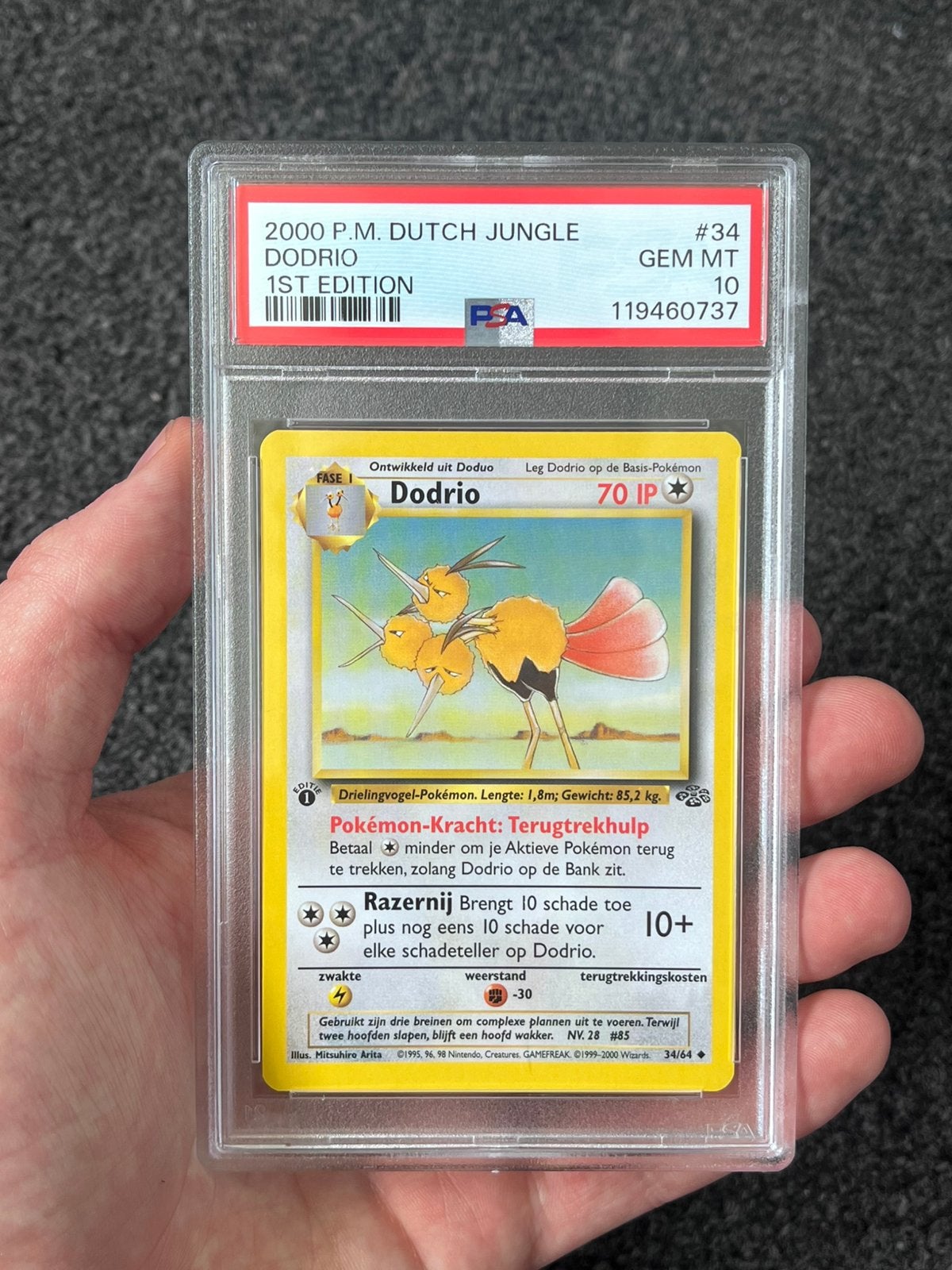 dutch pokemon cards value Pokmon Graded card - 1st Edition - Gastly 50 - Pokmon - PSA 10 Colorless Artist Bought these Dutch (first Edition)