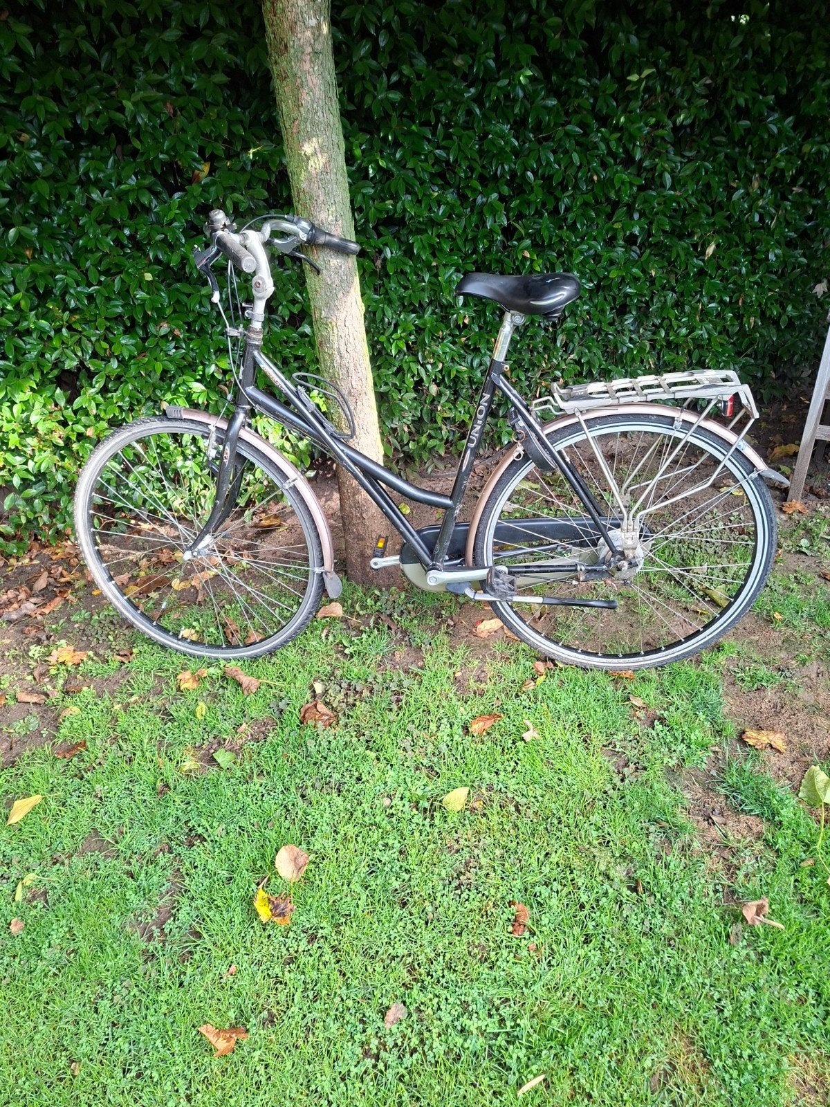 Union Goldrun Damesfiets met 7 versnellingen, Velgrem, Versnellingen, Ophalen, Overige merken