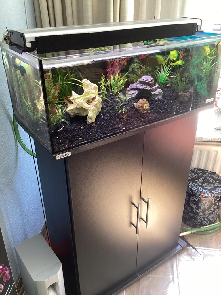 Sera aquarium, Ophalen, Inclusief planten, Gebruikt, Sera