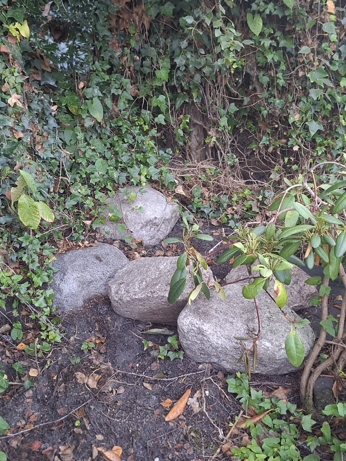 Natuurlijke stenen gratis af te halen., Ophalen, Gebruikt, Bruin, Overige typen
