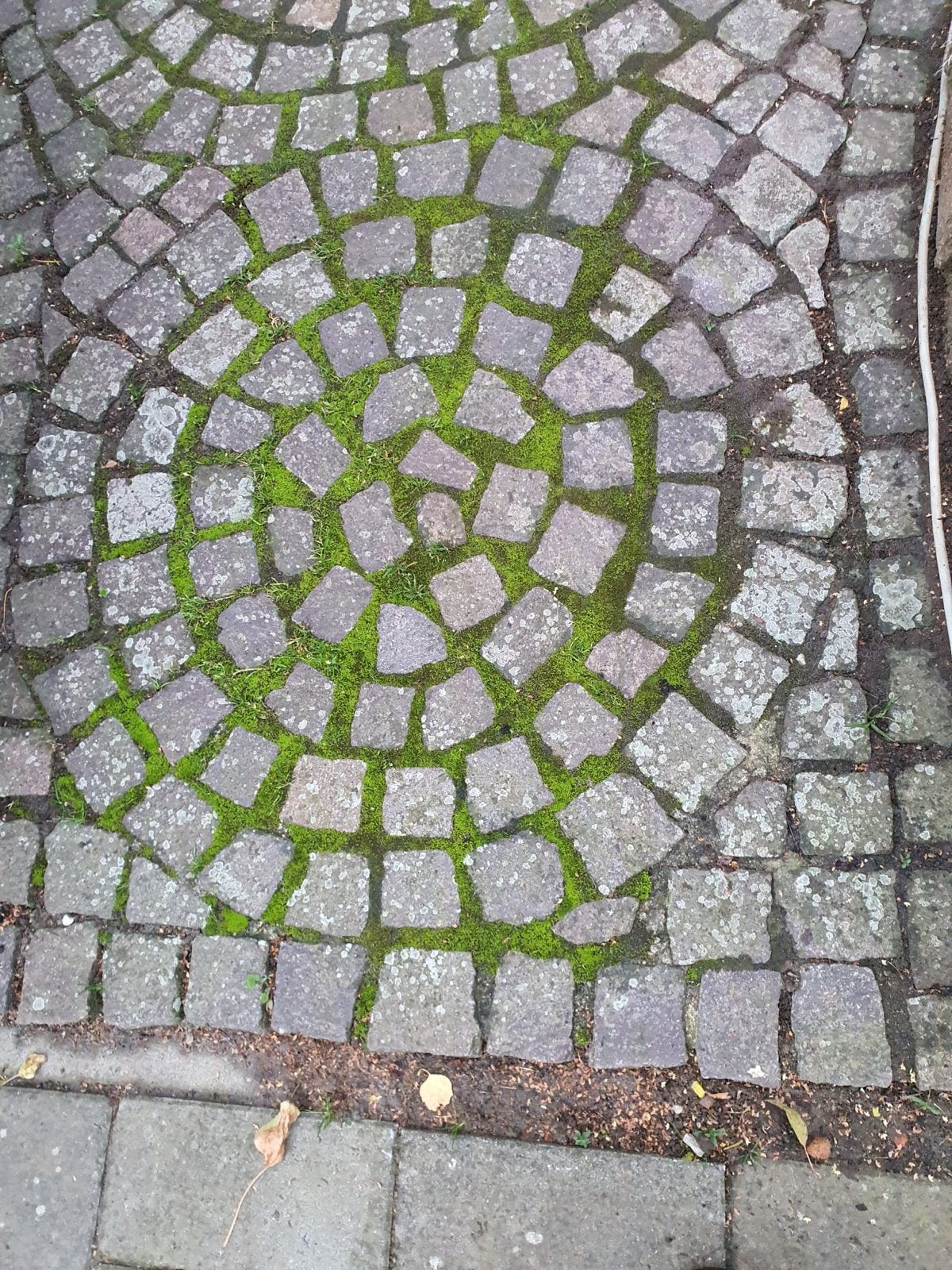 Gebruikte portofido keitjes-Natuursteen, Ophalen, Gebruikt, Graniet, Kei