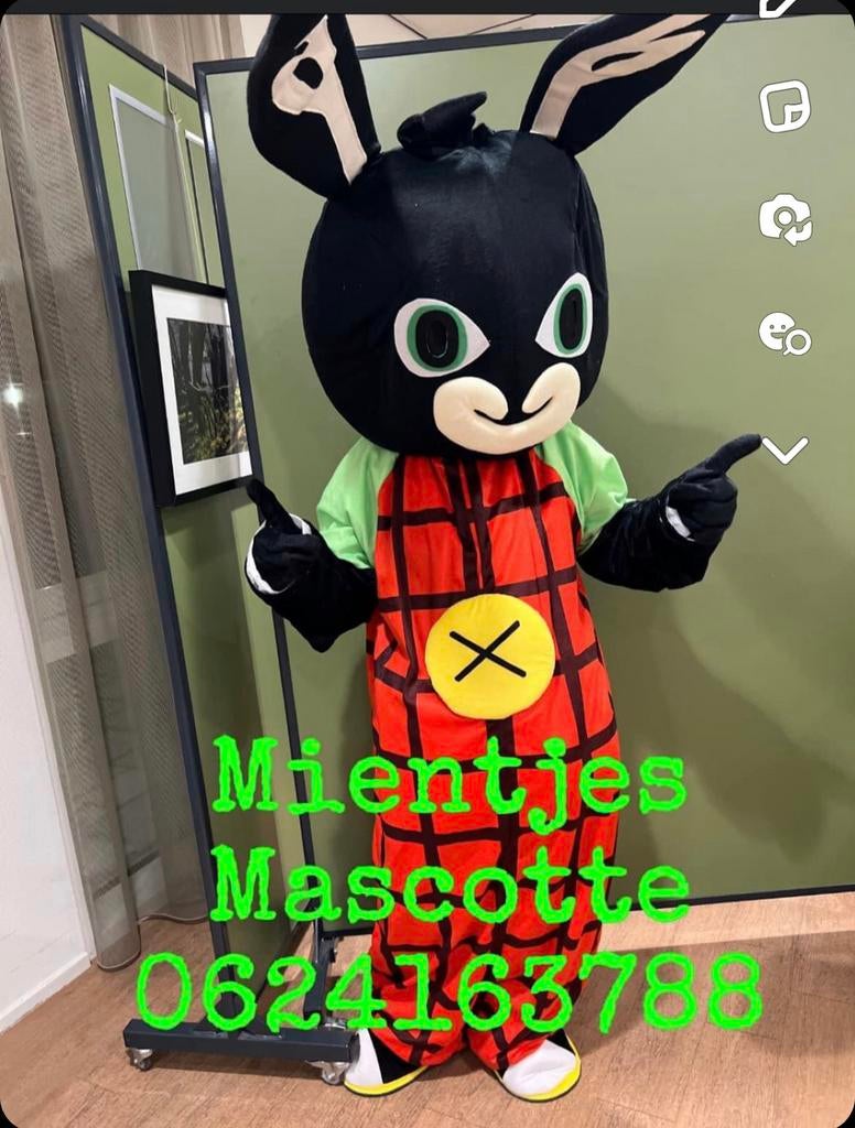 Bing Mascotte te huur  voor Feestjes en Evenementen, Ophalen of Verzenden, Zo goed als nieuw