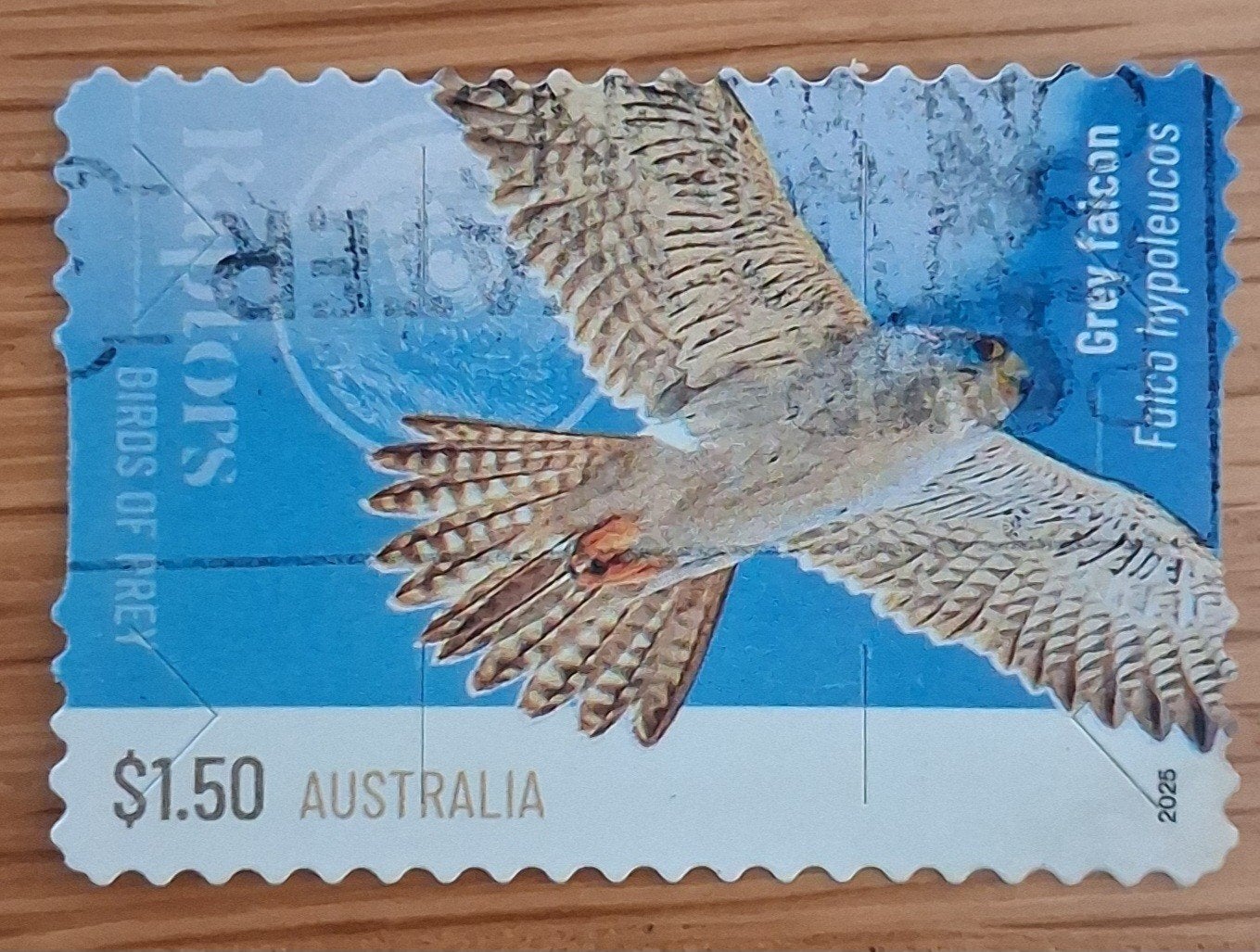 AUSTRALIË 2025 : BIRDS OF PREY S.A, Postzegels en Munten, Postzegels | Oceanië, Ophalen of Verzenden