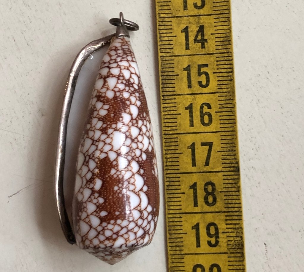 Schelp hanger Conus textile in zilveren montering, Ophalen of Verzenden, Zilver, Zilver, Overige voorstellingen