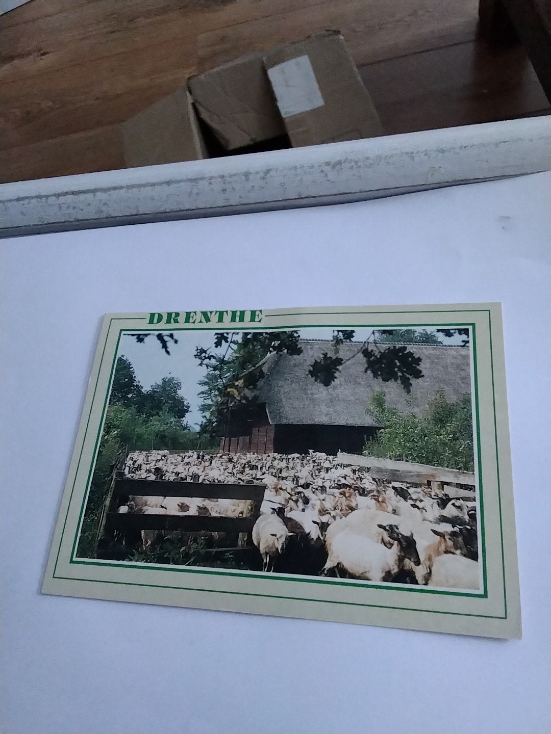 Oude ansichtkaart Drenthe met schapen en boerderij 1992, Ophalen of Verzenden, 1980 tot heden, Gelopen, Drenthe