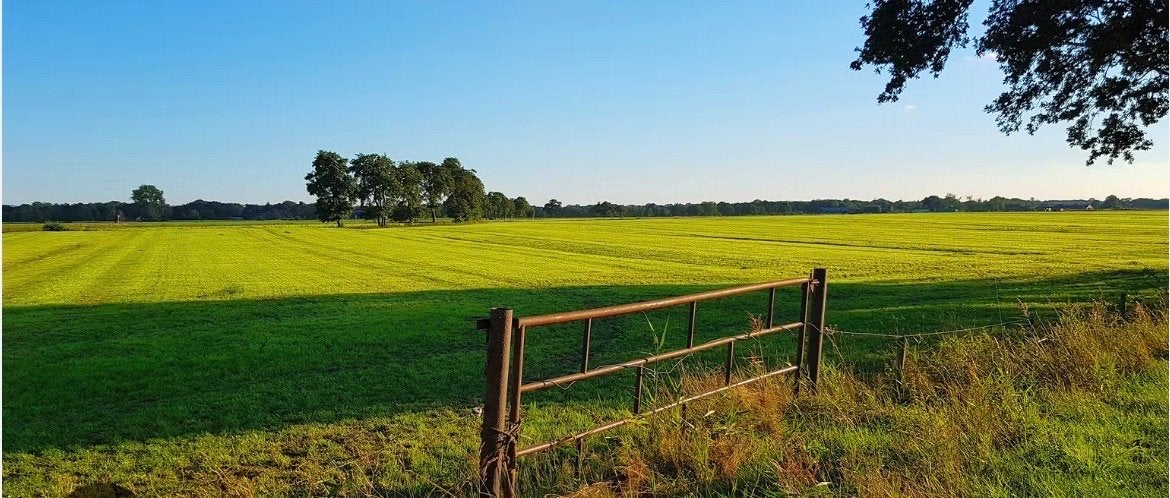 Gezocht land min 1,5 hectare, Weidegang, 4 paarden of pony's of meer