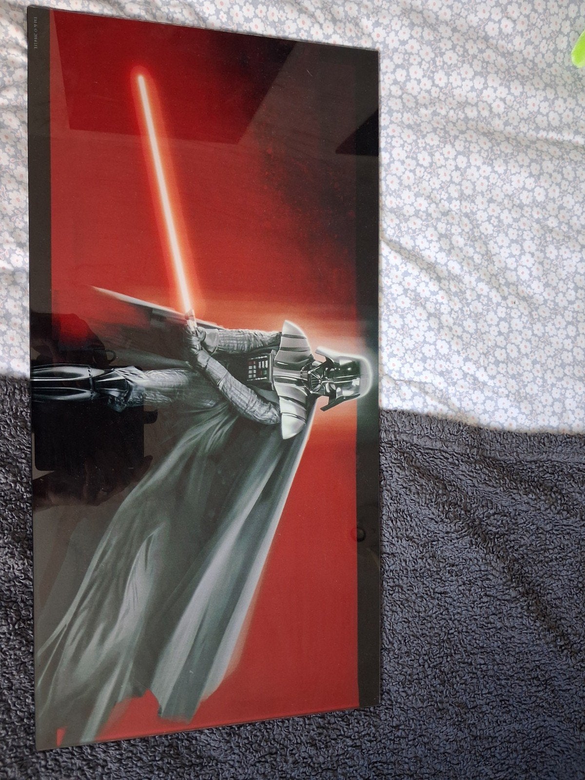 Star Wars Darth Vader Glazen Plaat Schilderij, Ophalen, Gebruikt, Overige typen