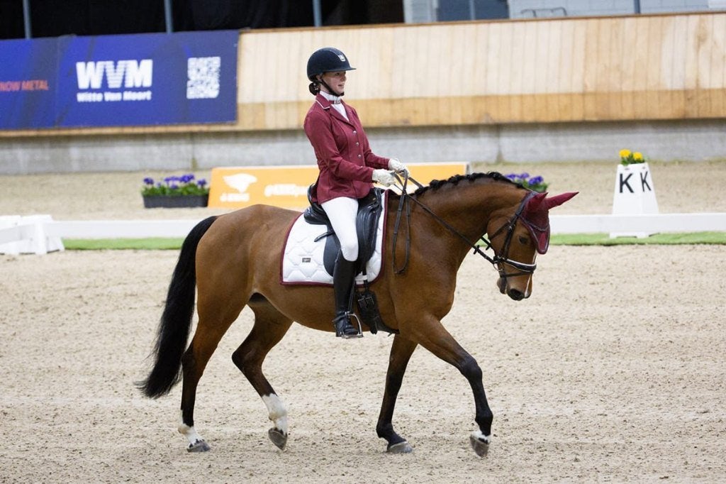 Bijzondere sportpony voor ambitieuze ruiter., Dieren en Toebehoren, Pony's, Met stamboom, Dressuurpony, M, 7 tot 10 jaar