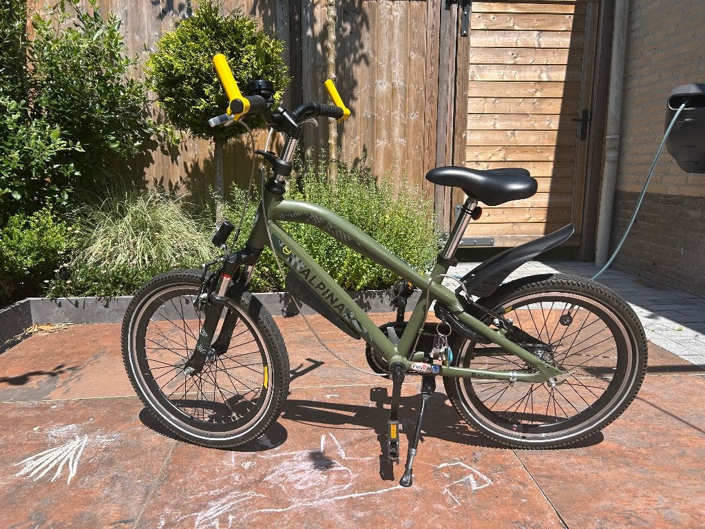 Alpina Trial kinderfiets 20 inch - Groen, Fietsen en Brommers, Fietsen | Kinderfietsjes, Ophalen, Velgrem, Alpina, 16 tot 20 inch