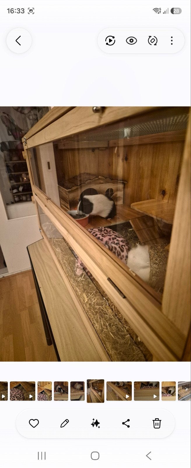 Hamster/Cavia kooi merk Trixie, Ophalen, Kooi, 60 tot 90 cm, Cavia