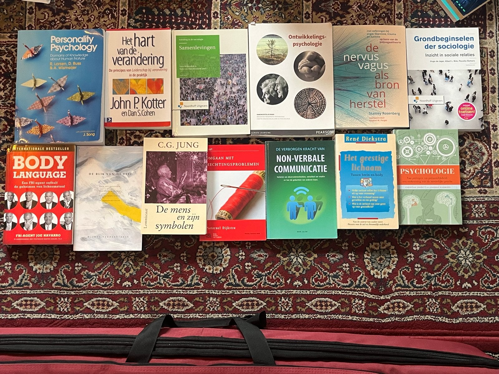 Boeken psychologie, sociologie en communicatie, Ophalen of Verzenden, Gelezen, Sociale psychologie
