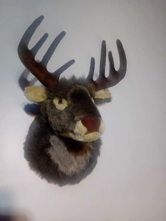 Pluche Eland Kop Wanddecoratie - Uniek en Speels, Gebruikt, Overige stijlen, Ophalen of Verzenden, Bruin