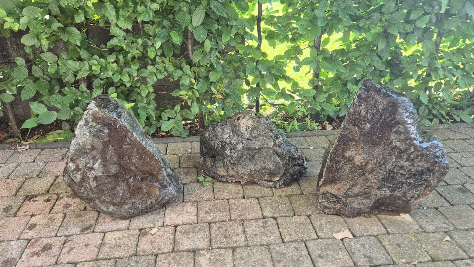 Kunst stenen, Dieren en Toebehoren, Ophalen, Plant(en), Steen of Hout