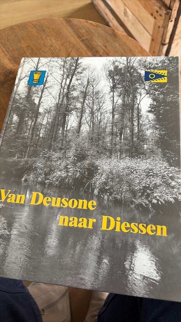 Boek diessen baarschot haghorst, Ophalen of Verzenden