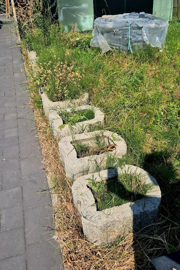 Gratis af te halen: 10 betonnen plantenbakken (Lommel), Ophalen, Gebruikt, Minder dan 30 cm, Minder dan 60 cm
