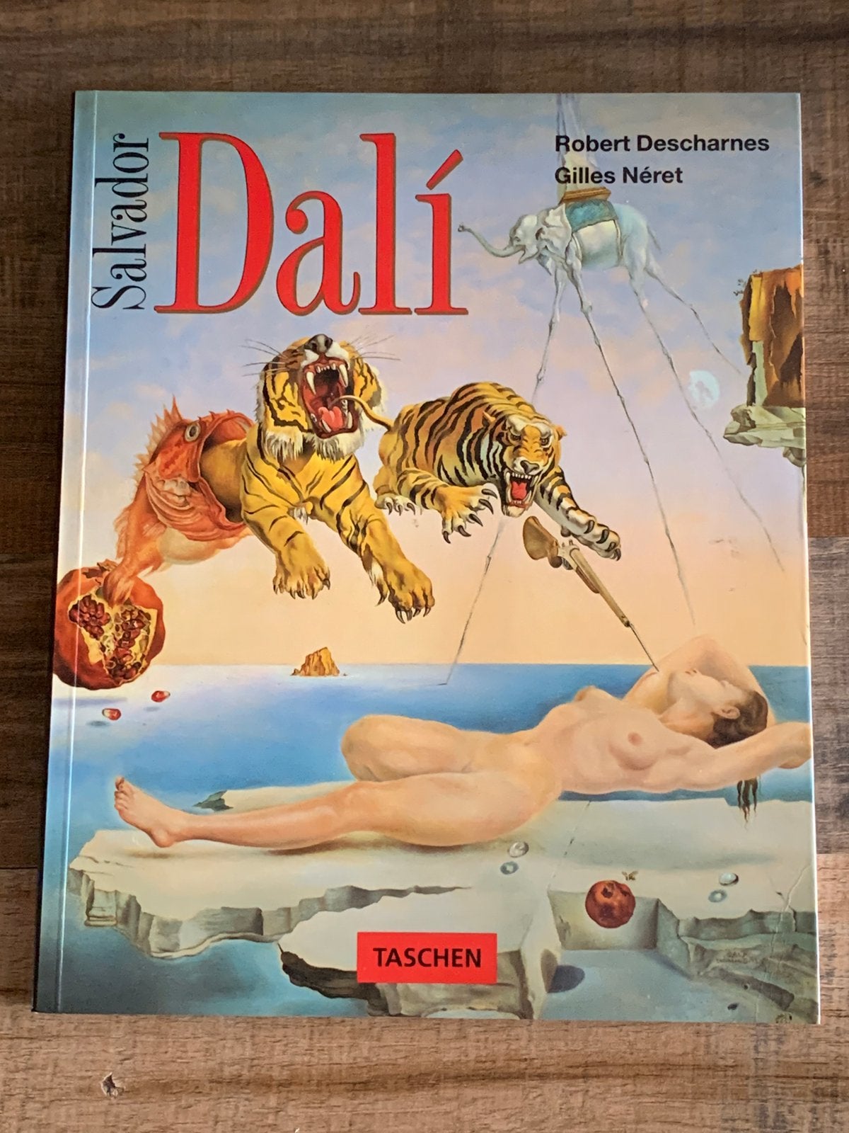 Salvador Dali boek, Boeken, Kunst en Cultuur | Beeldend, Ophalen of Verzenden, Zo goed als nieuw