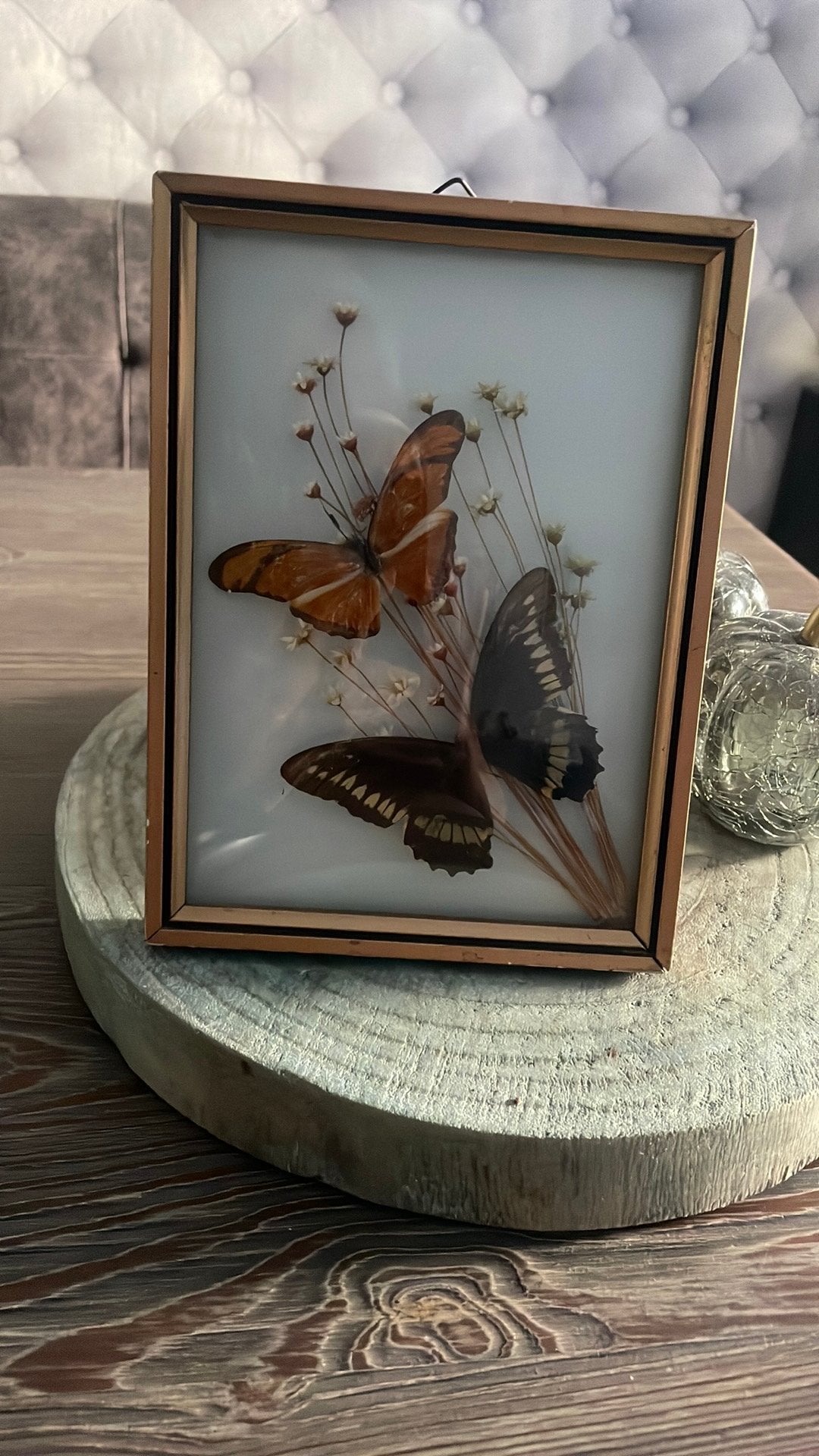 Vintage vlinders, Ophalen of Verzenden