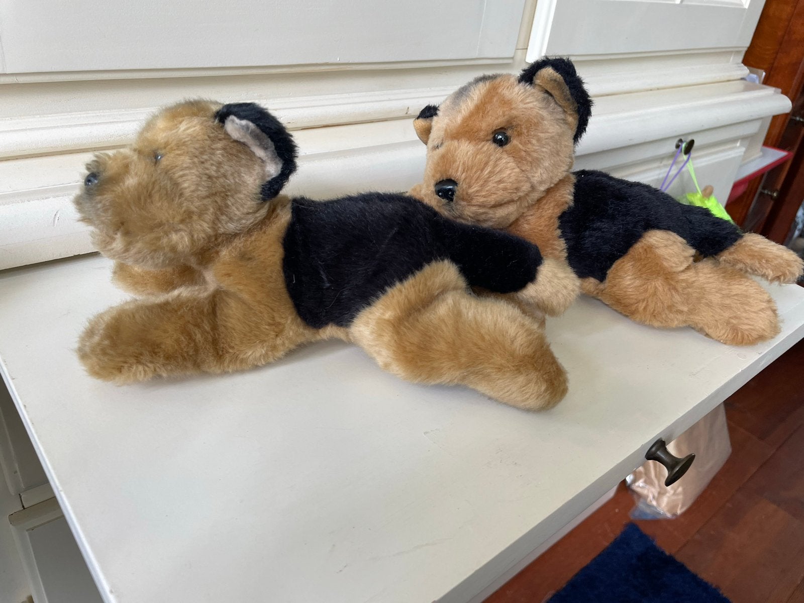 Diverse knuffelhonden - set van 7, Gebruikt, Middelgroot (20 tot 80 cm), Bruin, Hond