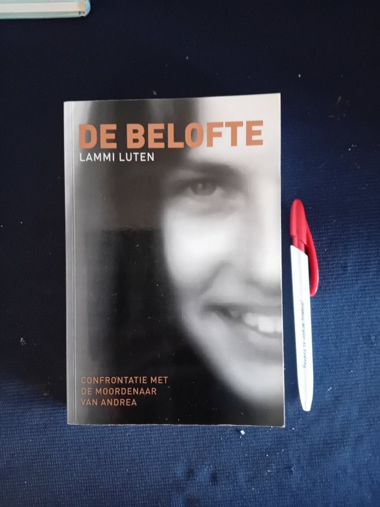 Lammi Luten. De belofte., Ophalen of Verzenden, Gelezen
