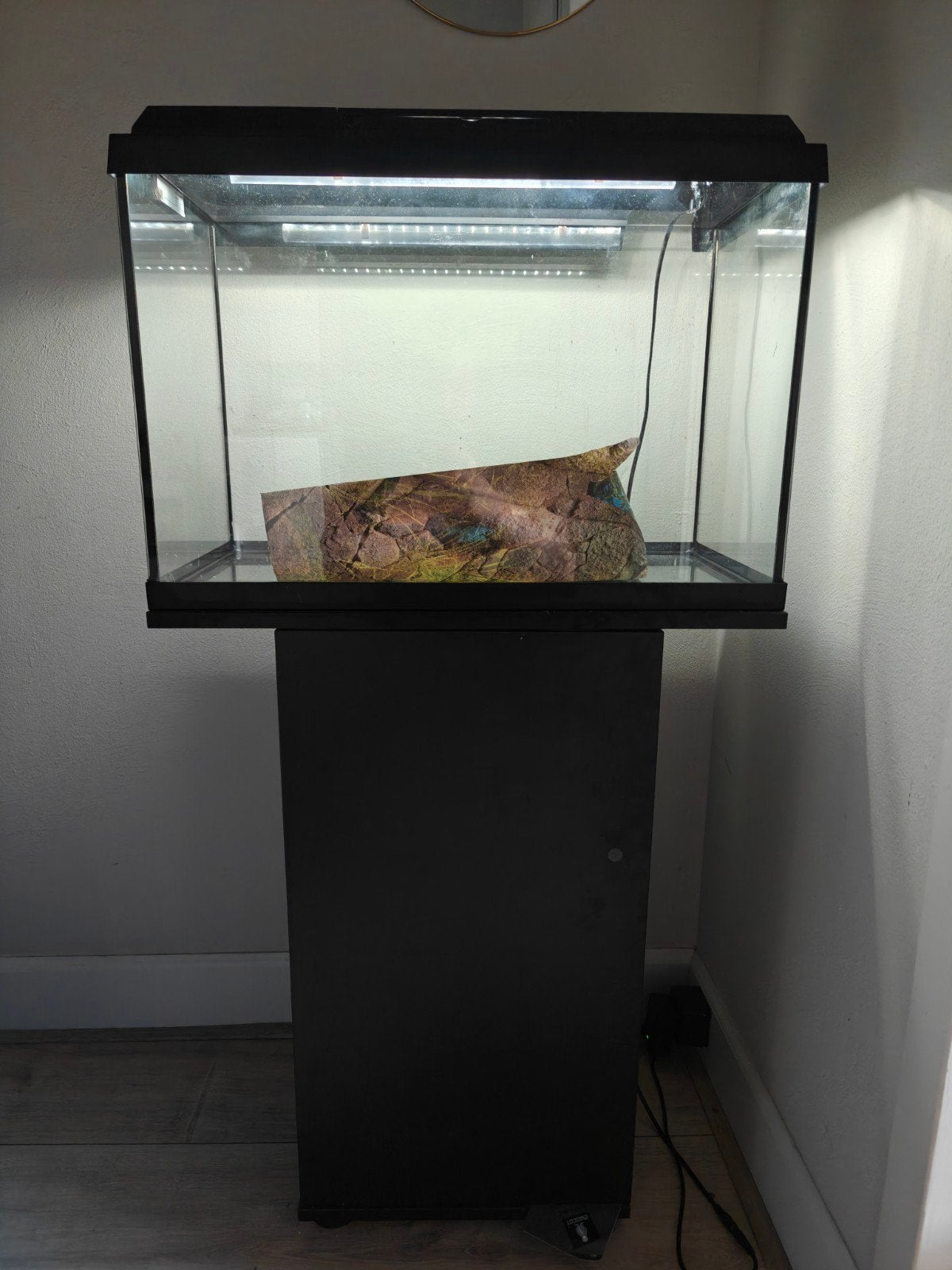 Juwel primo 70 aquarium, 70 liter, Ophalen, Leeg aquarium