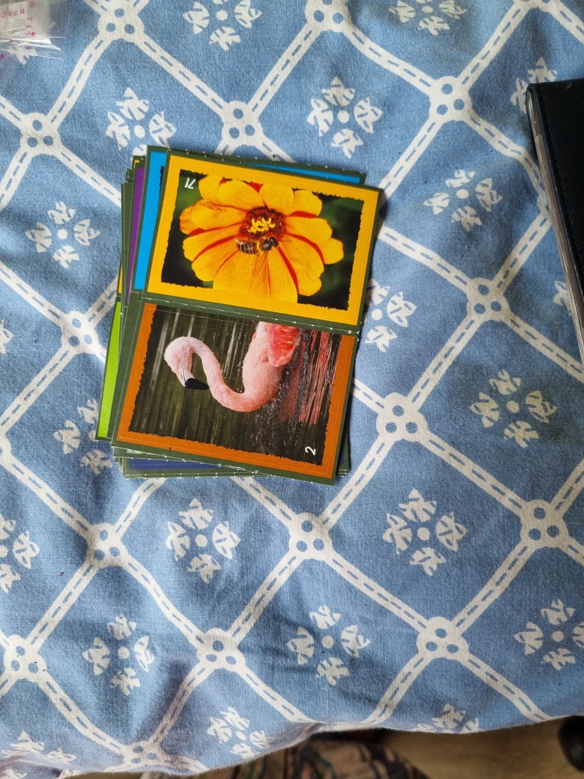 Stickers voor een album, Ophalen of Verzenden, Gebruikt, Kwartet(ten)