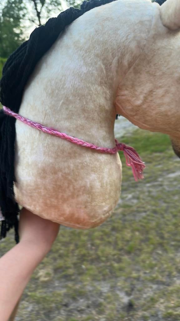 Neckrope voor hobby horse, Ophalen, Gebruikt