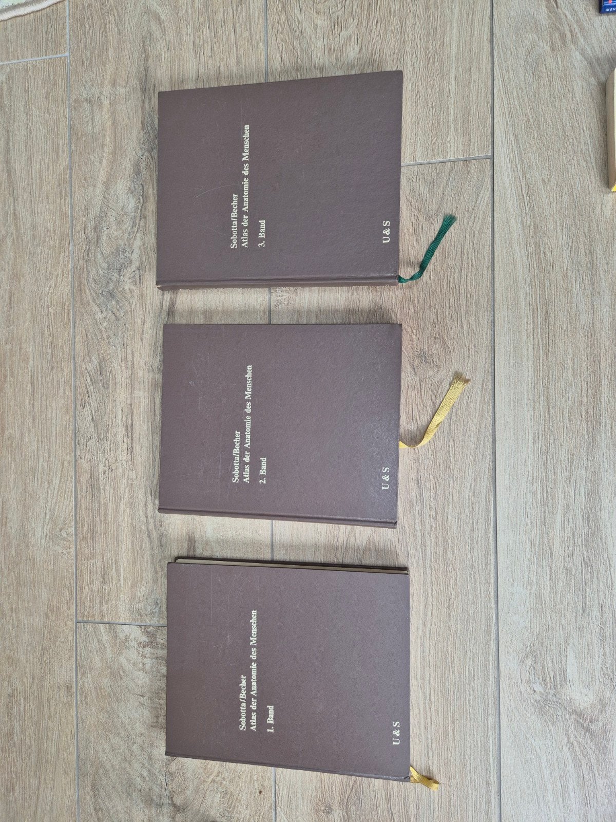 Sobotta Anatomische Atlas - Compleet (3 Delen), Boeken, Gelezen, Ophalen of Verzenden, WO, Sobotta/Becher