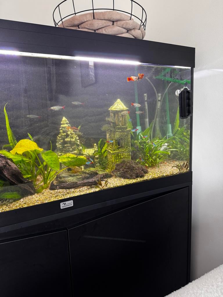 Aquatlantis 180L met kast en ledcontroller en vissen, Ophalen, Gevuld zoetwateraquarium
