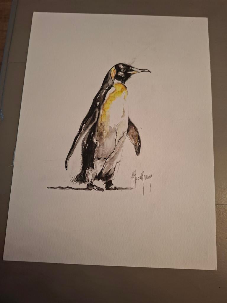 Aquarel Tekening Pinguïn A4, Ophalen of Verzenden