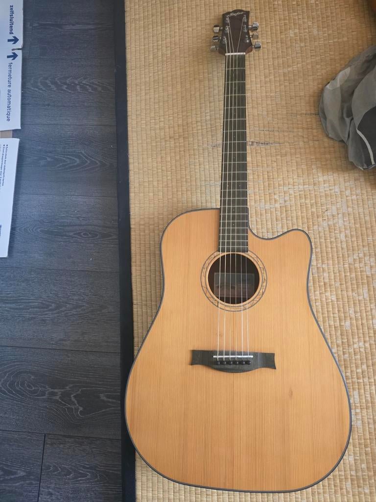 Stanford d40cm gitaar goede staat, Muziek en Instrumenten, Snaarinstrumenten | Gitaren | Akoestisch, Ophalen, Zo goed als nieuw